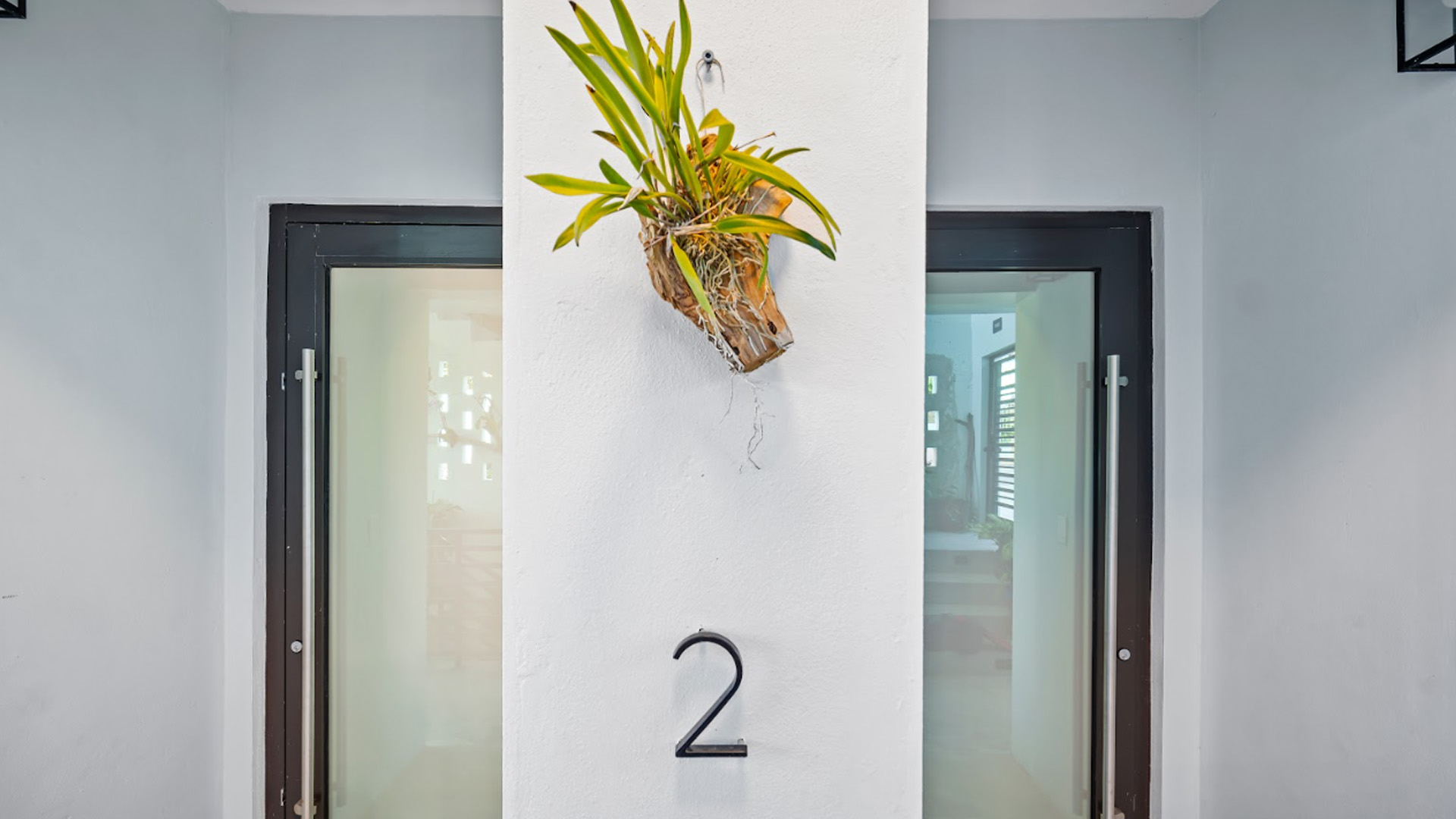 Suite entrance with number 2 and decorative hanging plant