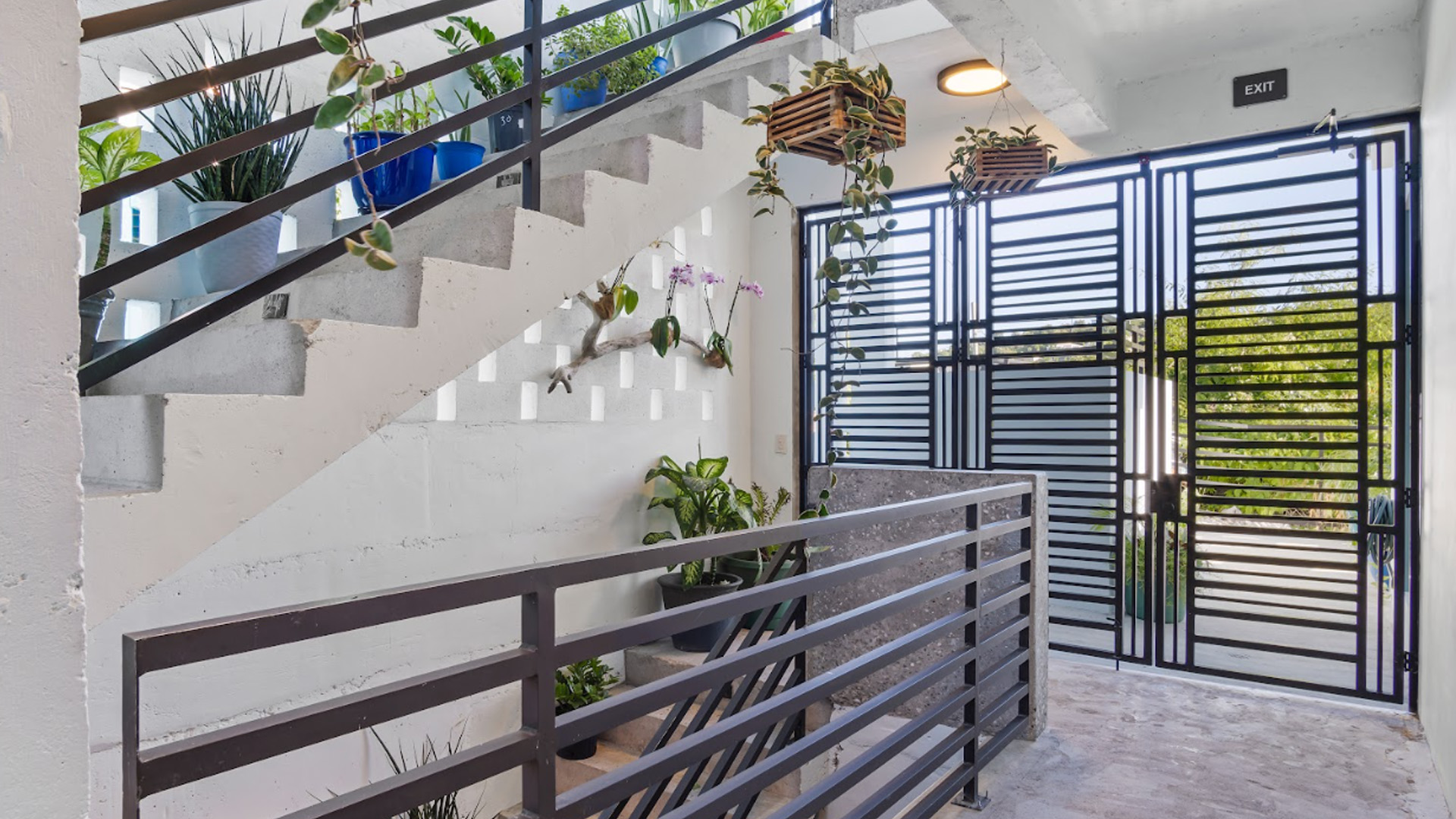 Modern interior stairway with tropical plants and sleek metal gate