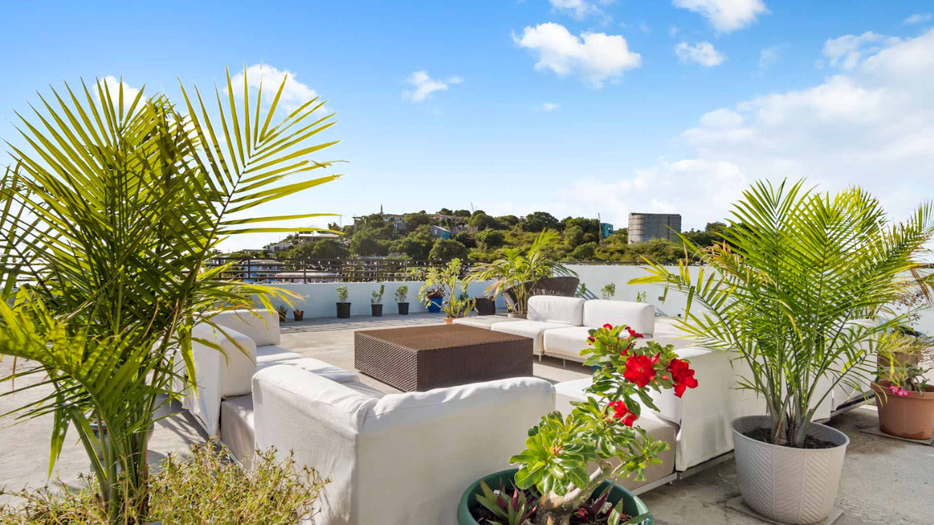 Rooftop lounge with white furniture and tropical plants